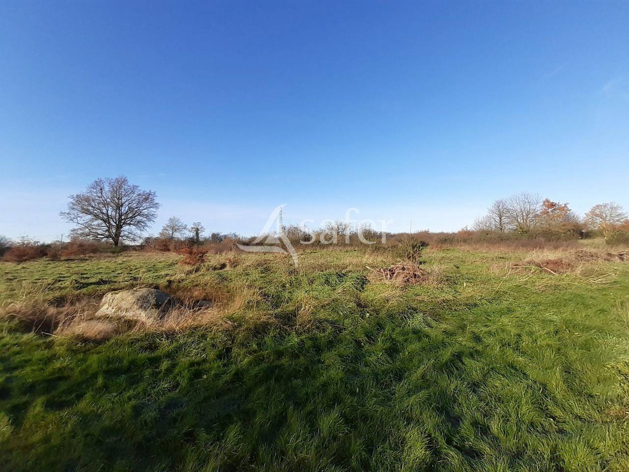 Landbouw bedrijf Koop Deux-Sèvres