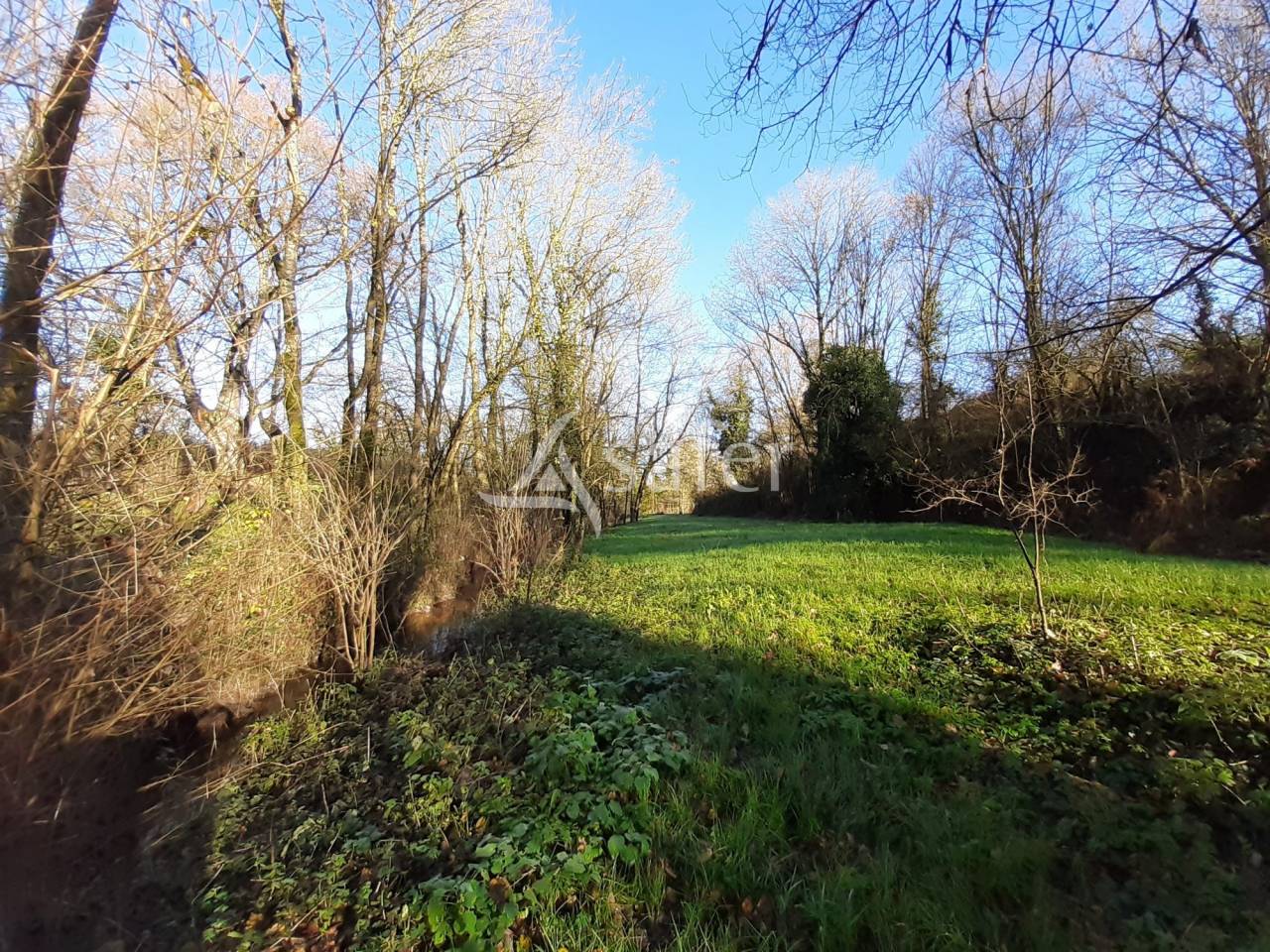 Landbouw bedrijf Koop Deux-Sèvres