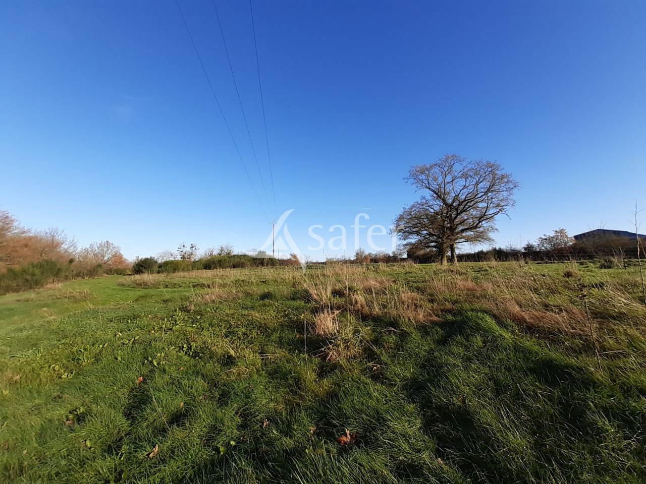 Landbouw bedrijf Koop Deux-Sèvres