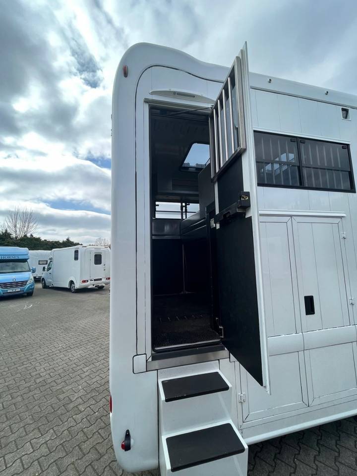 Zware paardenvrachtwagen (groot rijbewijs) Scania SCANIA 0 Tweedehands