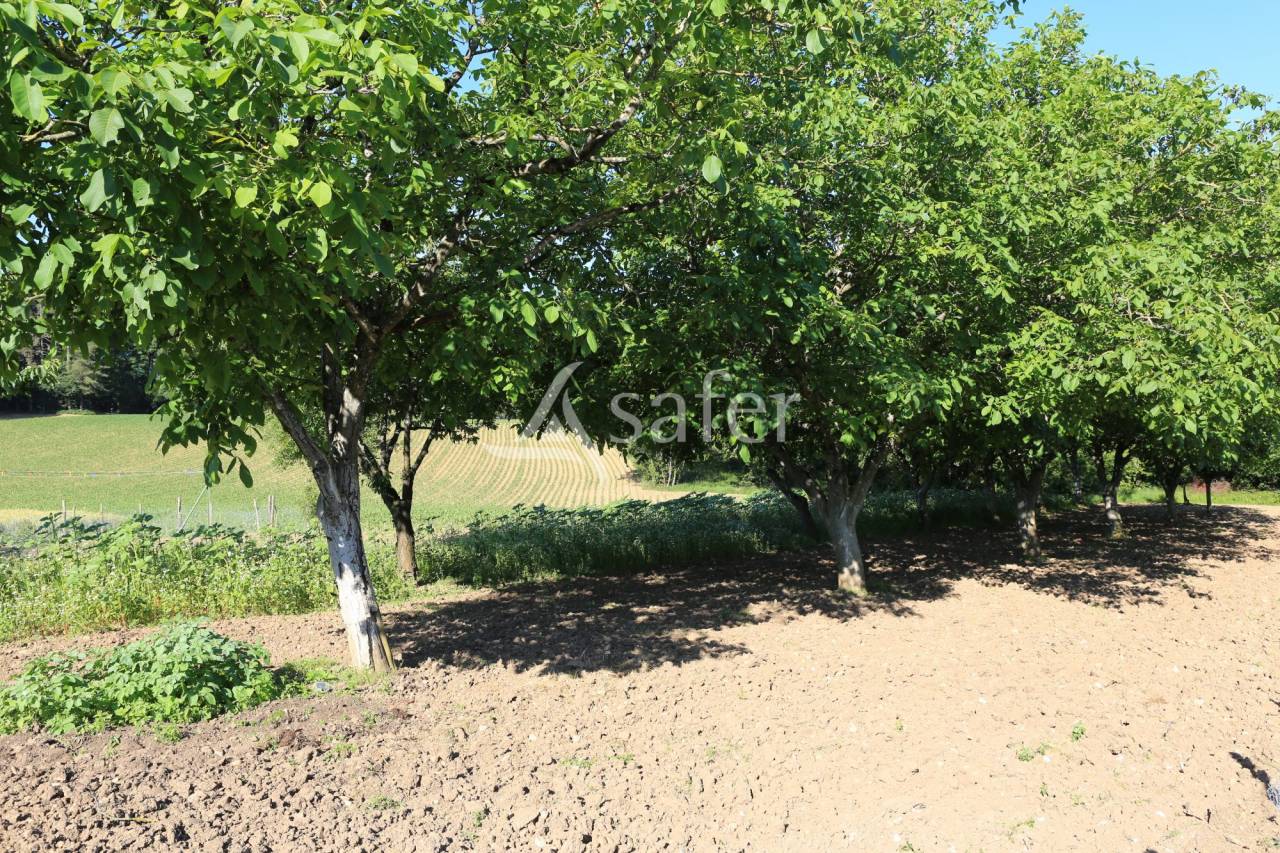 Ander plattelands vastgoed Koop Lot