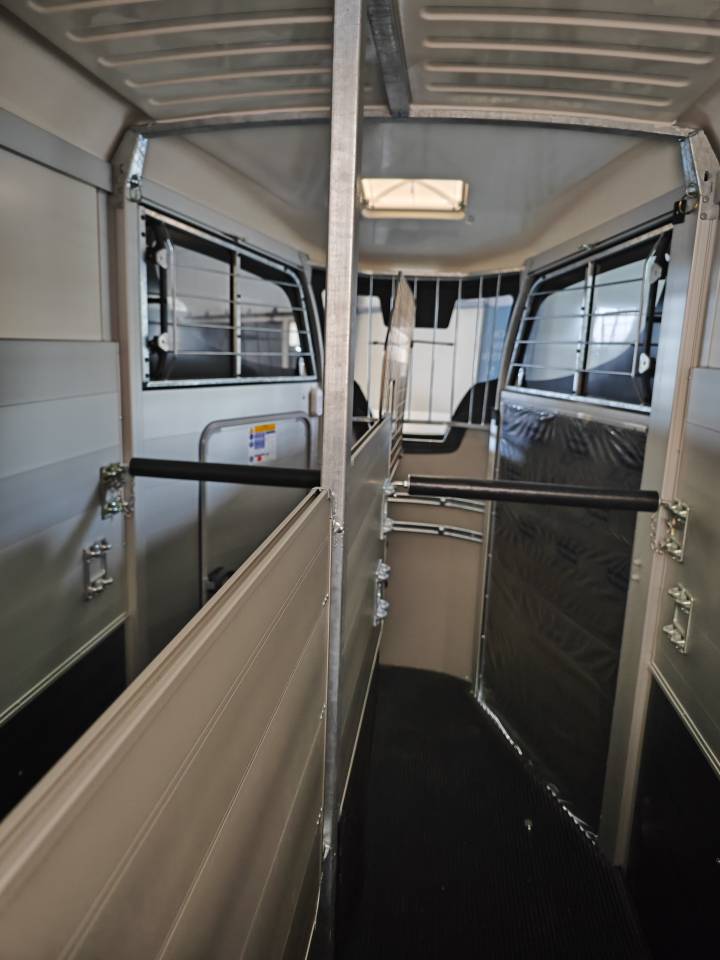 Paardentrailers Ifor Williams Hbx506 2 Paarden 2025 Nieuw
