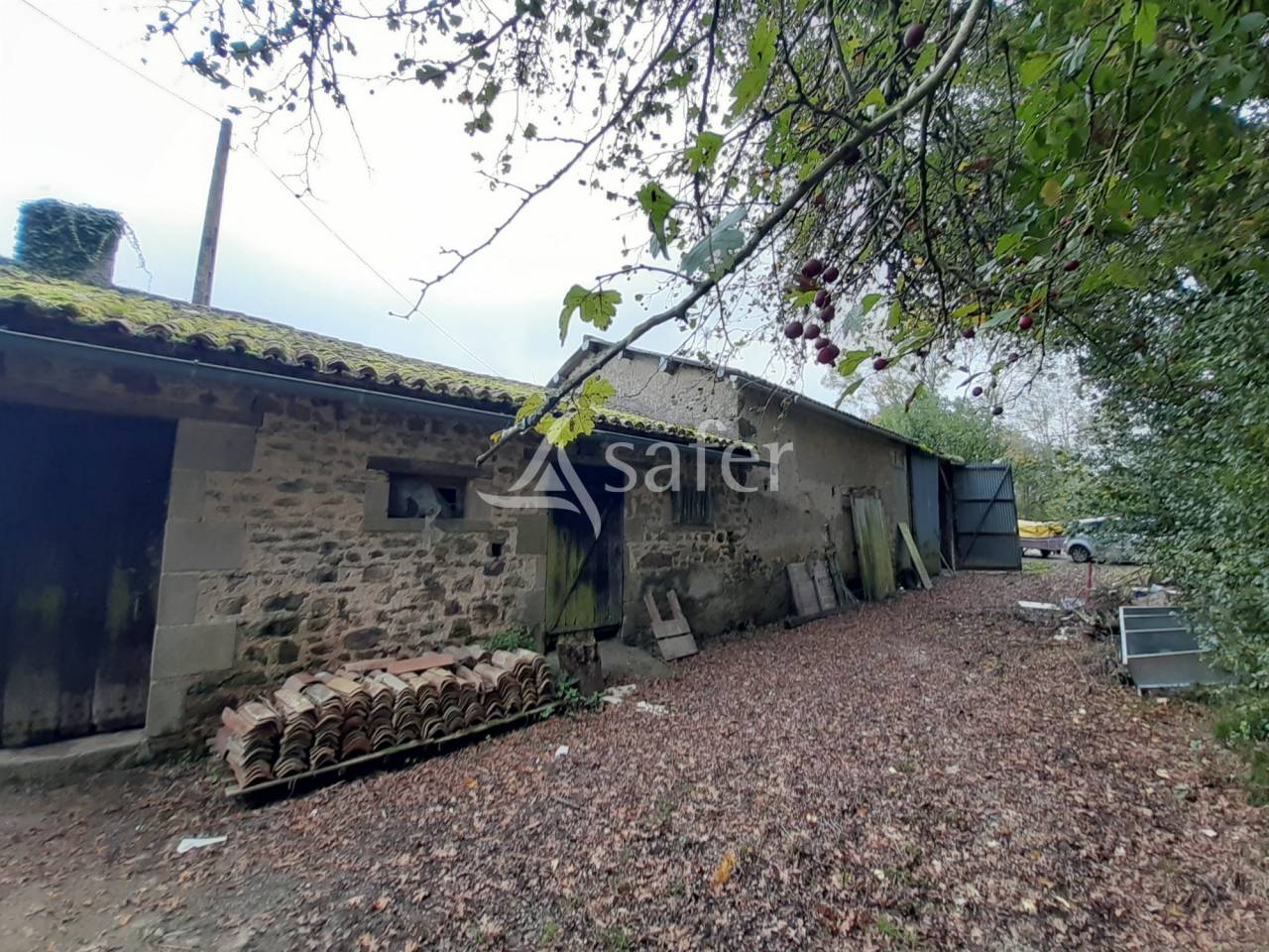 Hippisch vastgoed Koop Deux-Sèvres