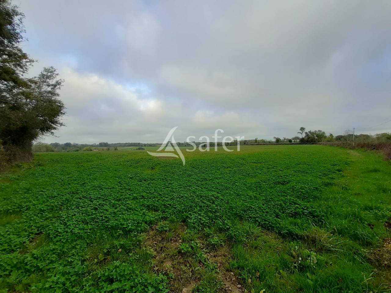 Hippisch vastgoed Koop Deux-Sèvres
