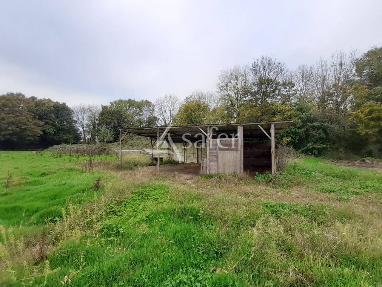 Hippisch vastgoed Koop Deux-Sèvres