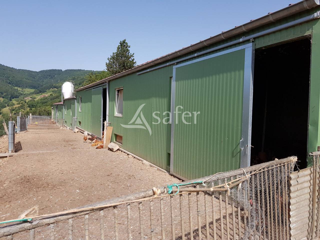 Landbouw bedrijf Koop Rhône