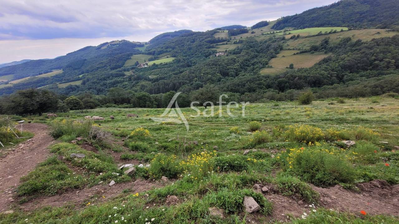 Landbouw bedrijf Koop Rhône