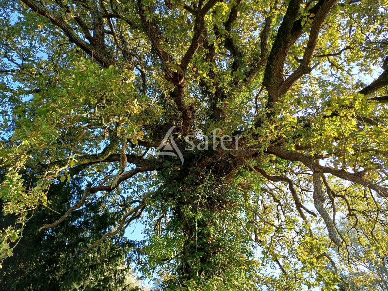 Landbouw bedrijf Koop Charente-Maritime