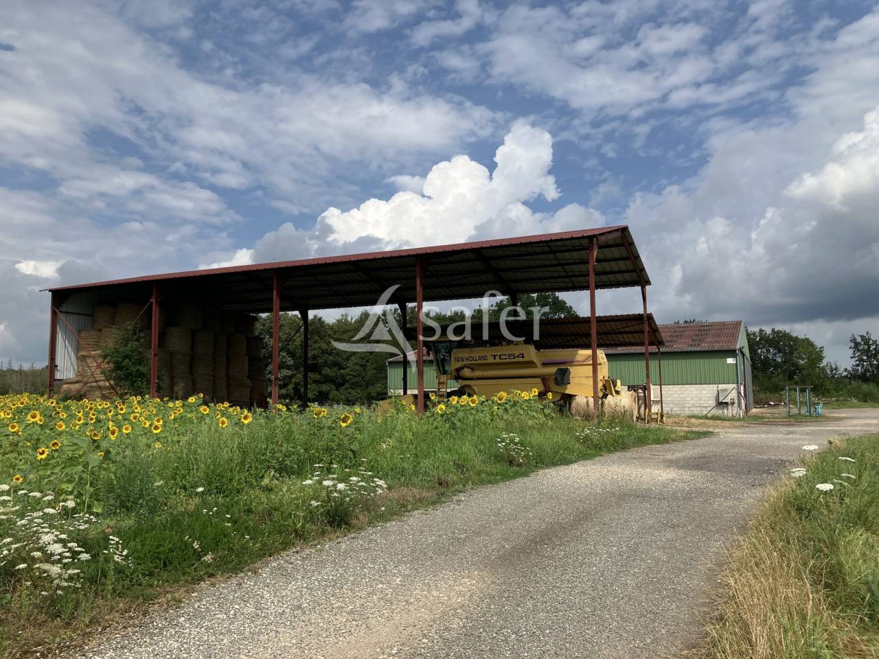 Landbouw bedrijf Koop Haute-Saône