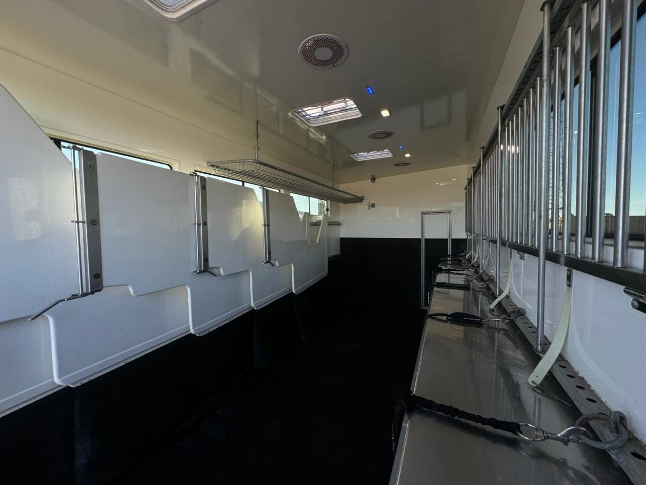 Zware paardenvrachtwagen (groot rijbewijs) Andere merken PAILLARD 2023 Tweedehands