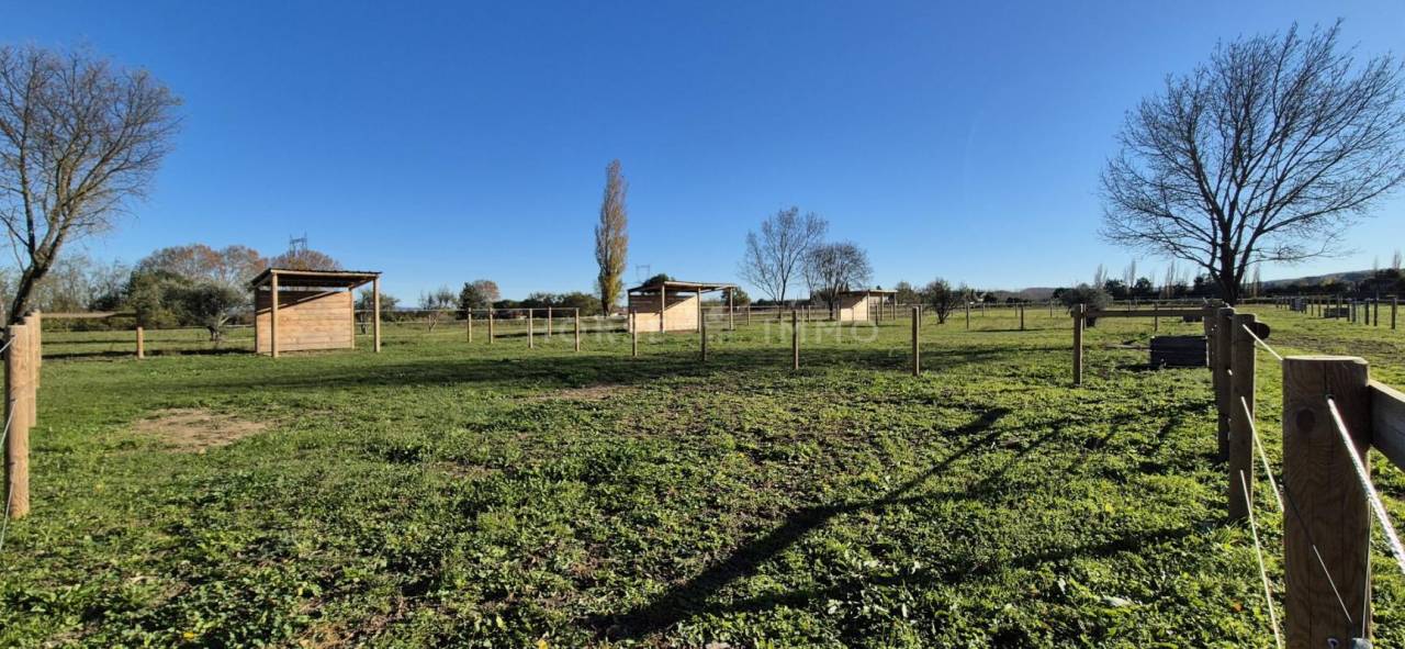 Hippisch vastgoed Koop Gard