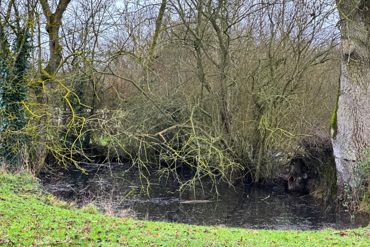 Hippisch vastgoed Koop Eure