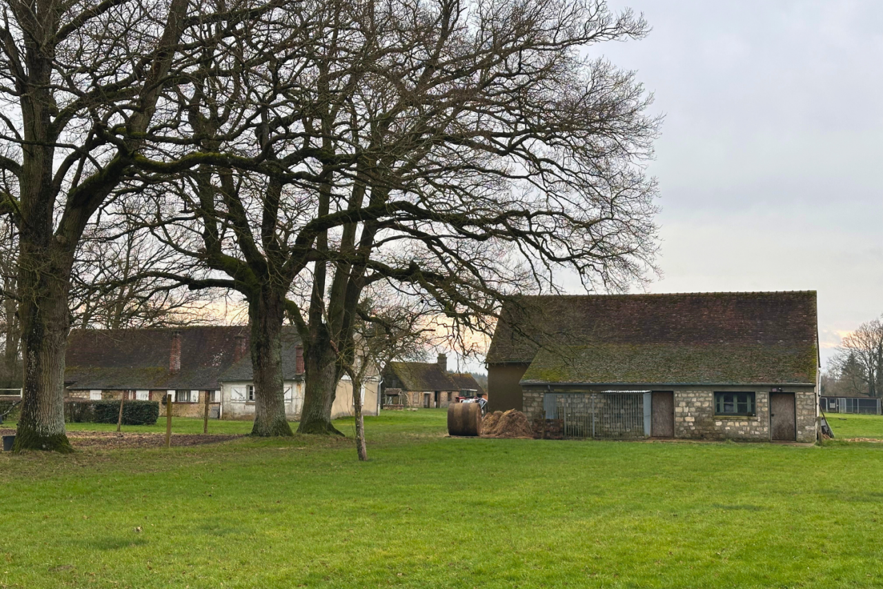 Hippisch vastgoed Koop Eure