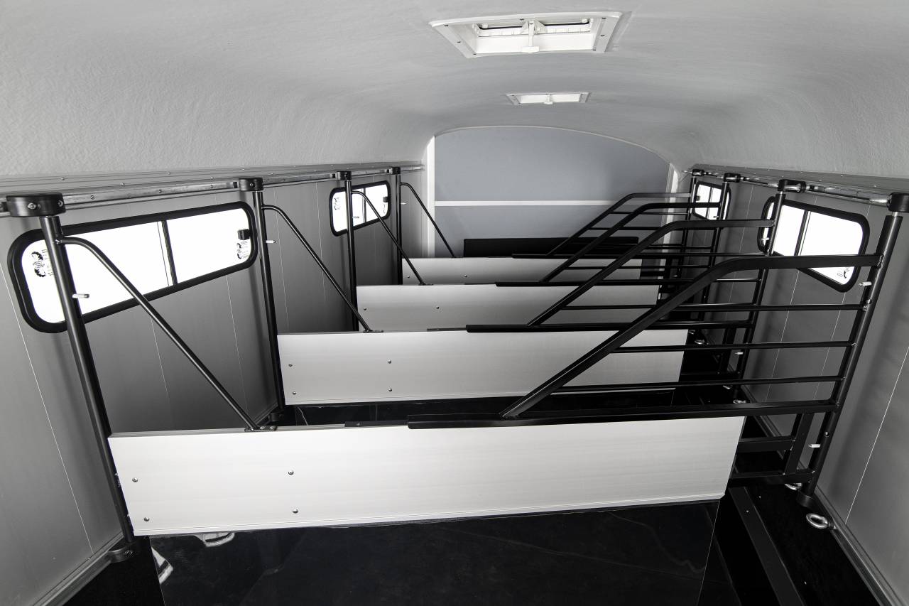 Paardentrailers Cheval Liberté Islandic 5 Paarden 2025 Nieuw