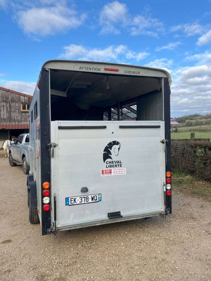 Paardentrailers Cheval Liberté  4 Paarden 2017 Tweedehands