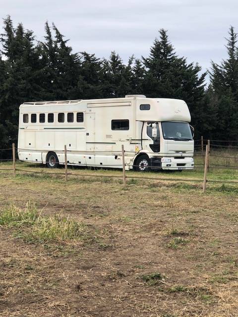 Zware paardenvrachtwagen (groot rijbewijs) Andere merken DONGUY 2000 Tweedehands