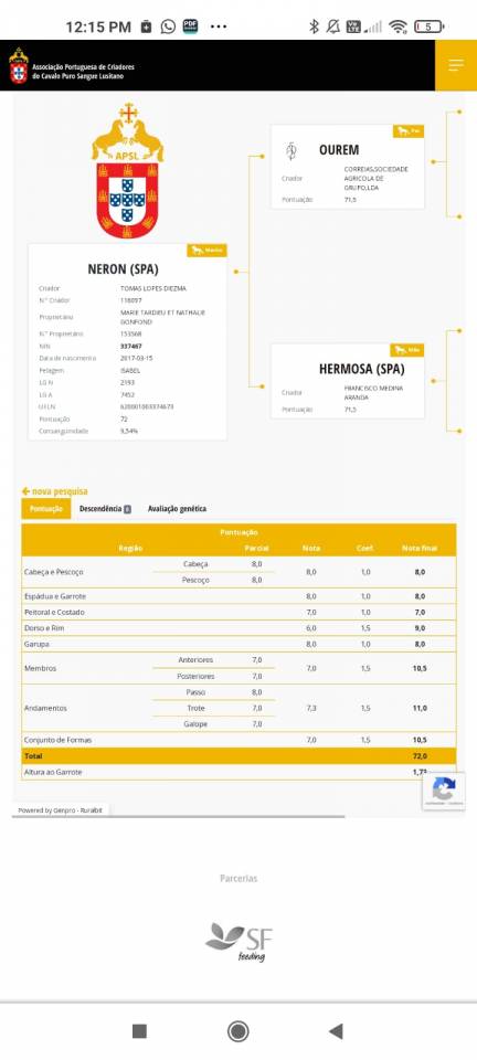 Neron - Lusitano 2018 ,  Ourem