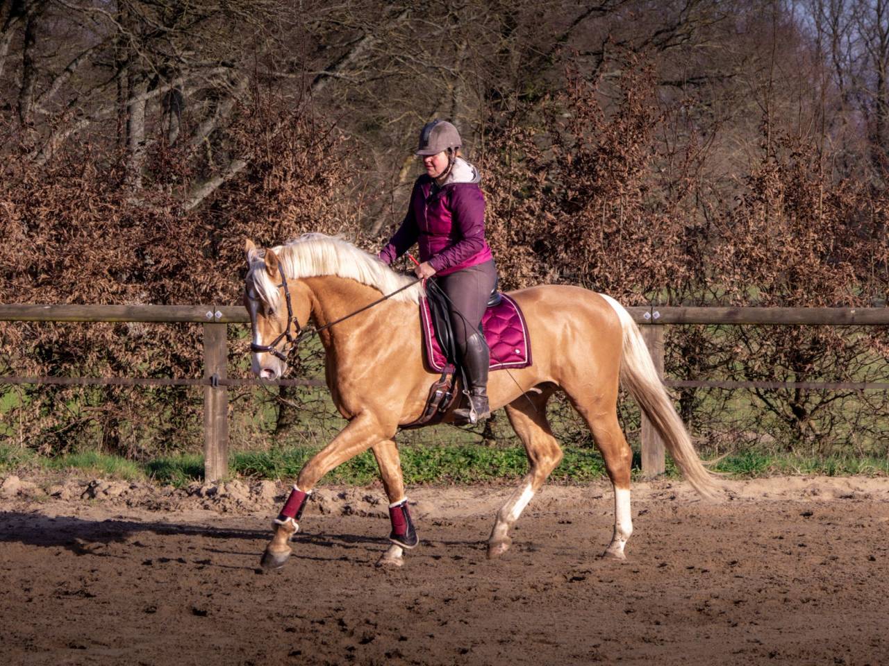 Karat-J  - Wielkopolski  2019 ,  Arktos