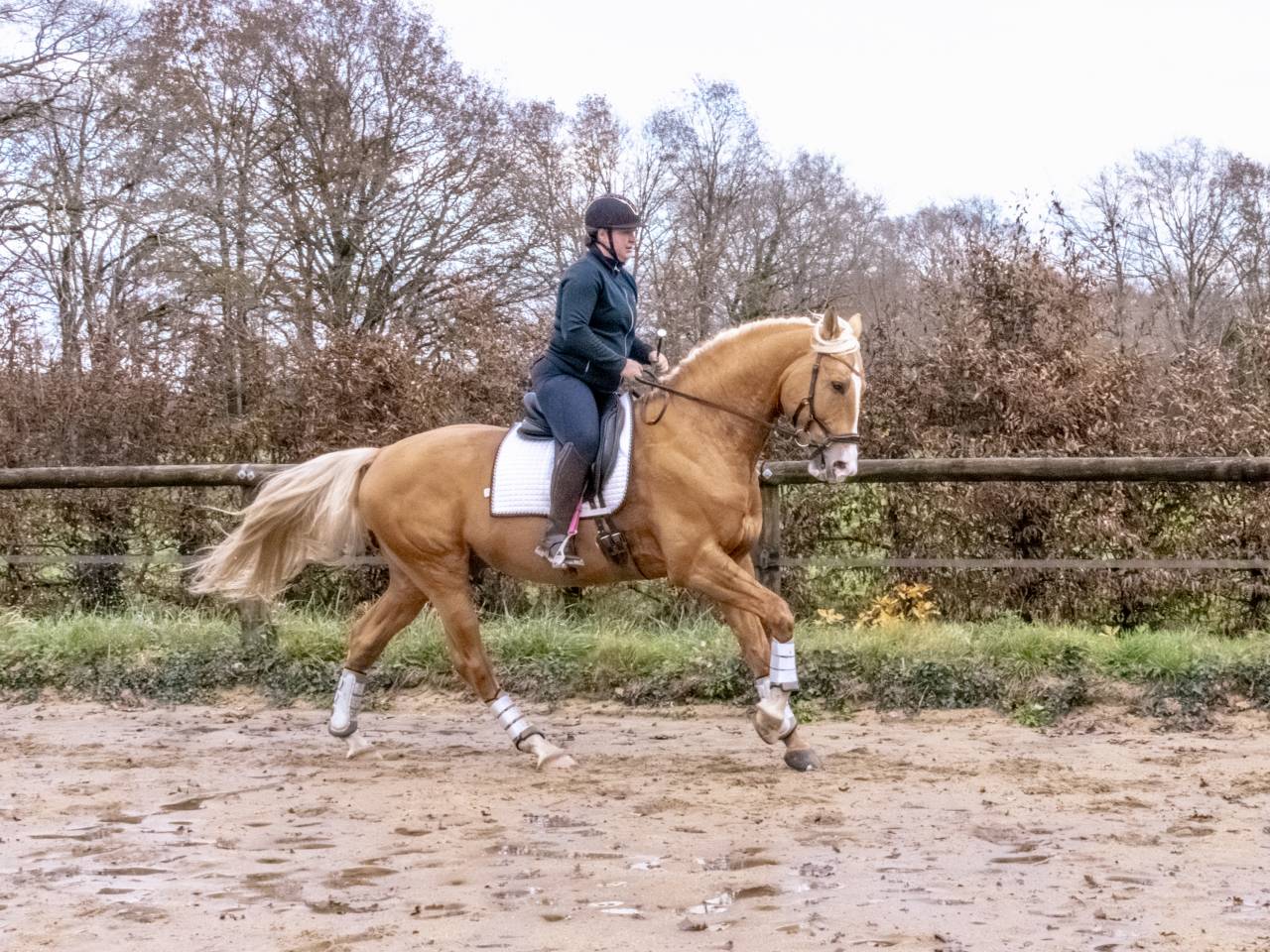 Karat-J  - Wielkopolski  2019 ,  Arktos