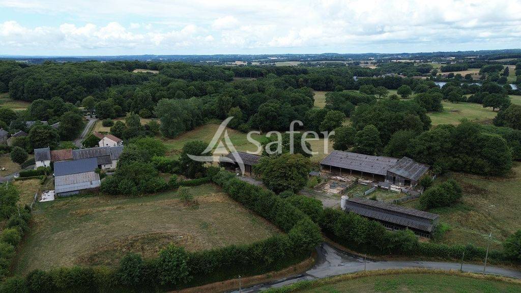 Schapen exploitatie Koop Creuse