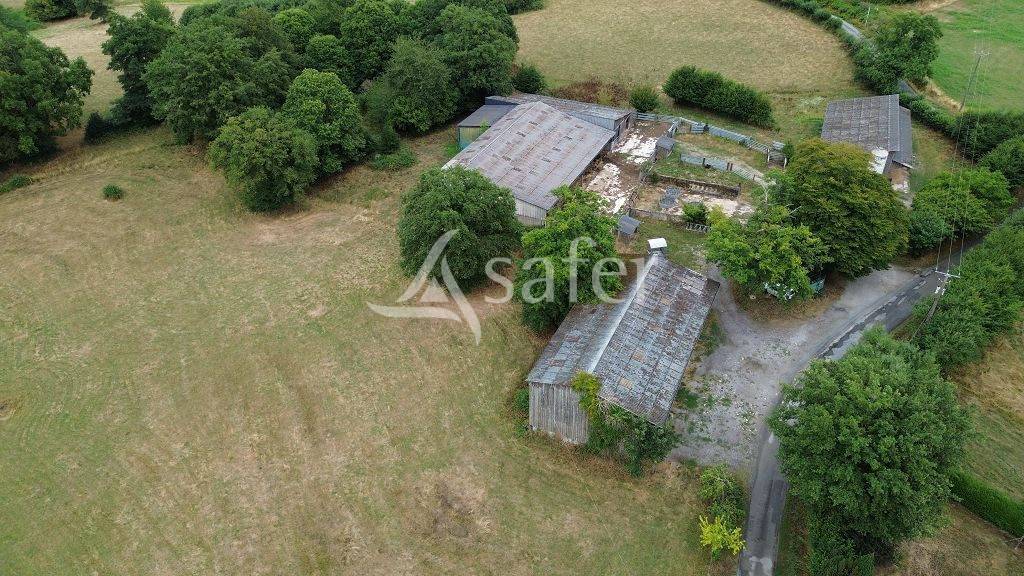 Schapen exploitatie Koop Creuse