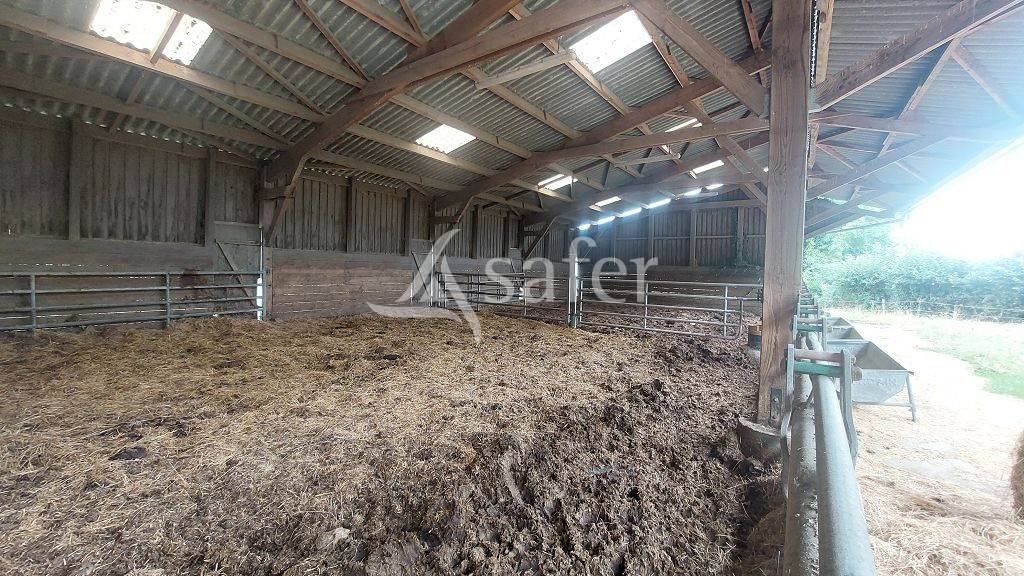 Schapen exploitatie Koop Creuse