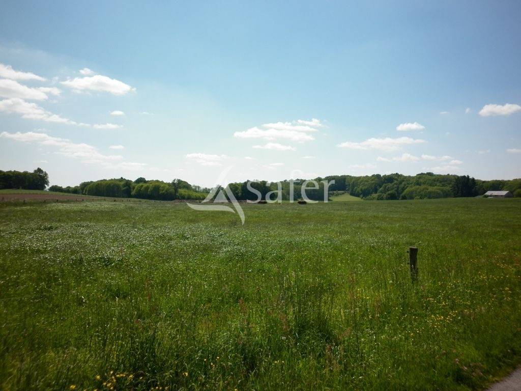 Schapen exploitatie Koop Creuse