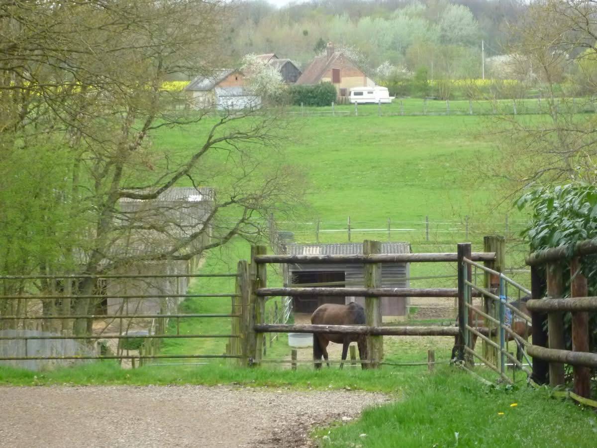 Stoeterij Koop Eure-et-Loir