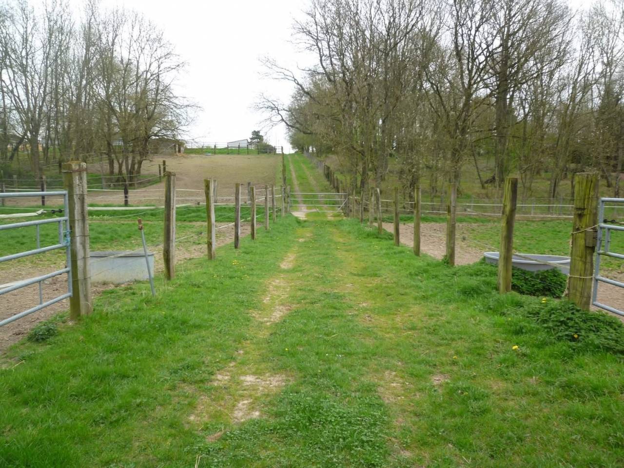 Stoeterij Koop Eure-et-Loir