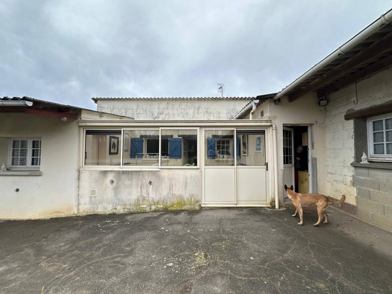 Stoeterij Koop Eure-et-Loir