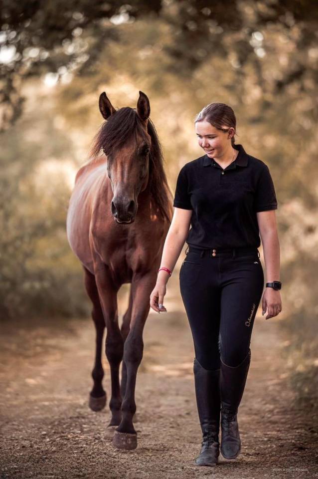 Azzaro de gacia - Arabisch volbloed 2022 ,  LAZEEZ AL SHAHANIA