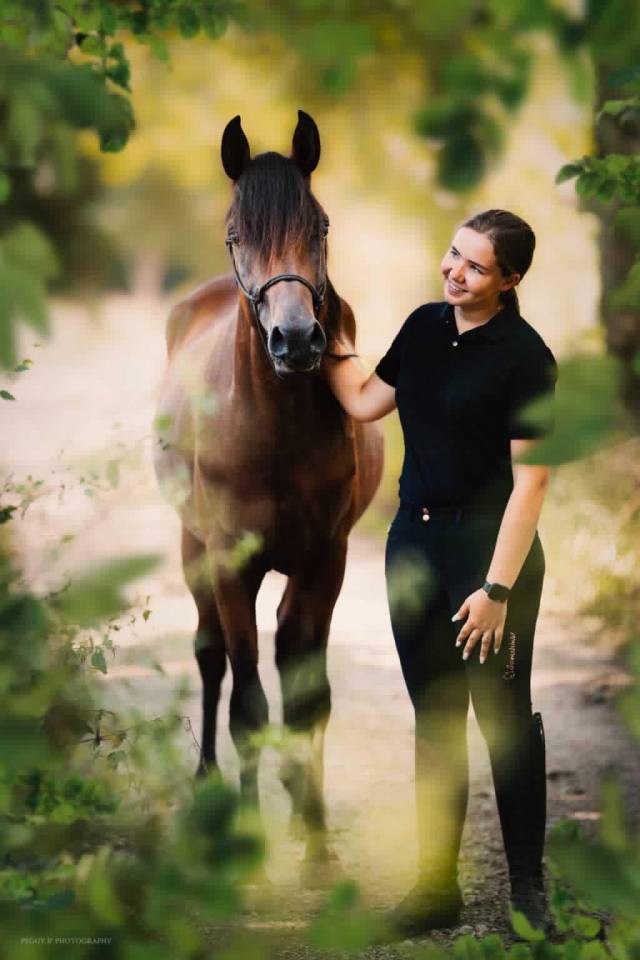 Azzaro de gacia - Arabisch volbloed 2022 ,  LAZEEZ AL SHAHANIA