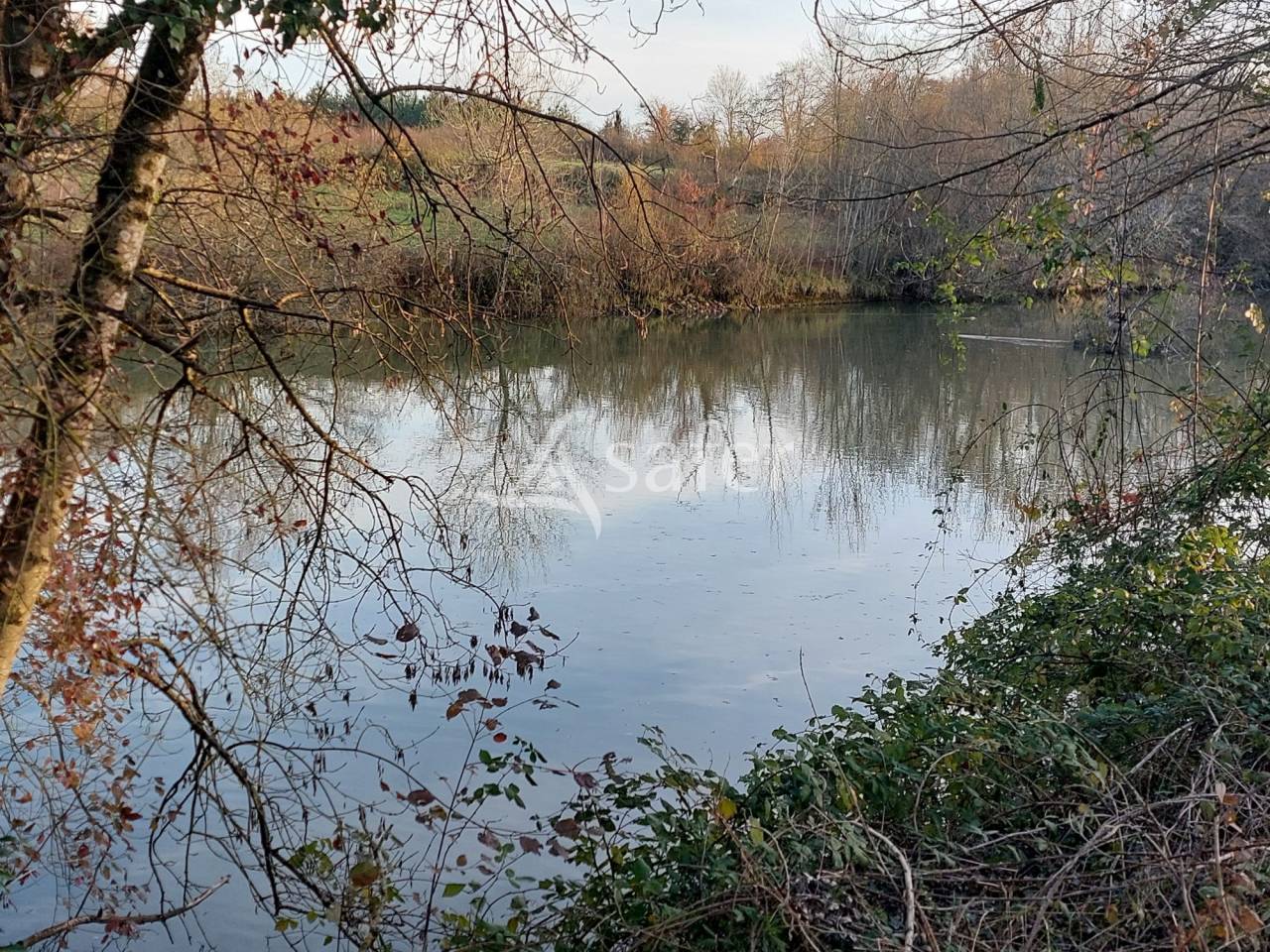 Groente exploitatie Koop Dordogne