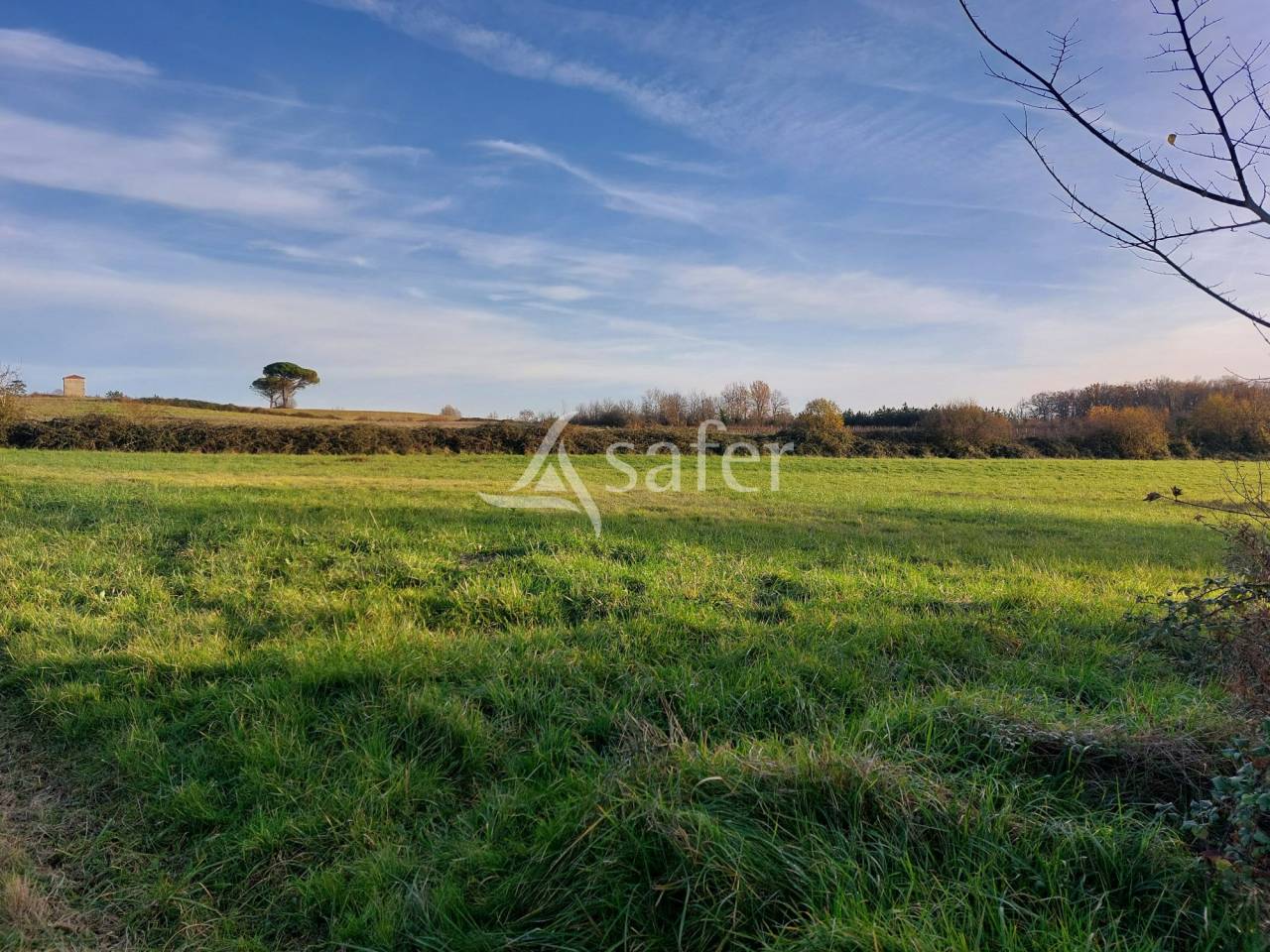 Groente exploitatie Koop Dordogne