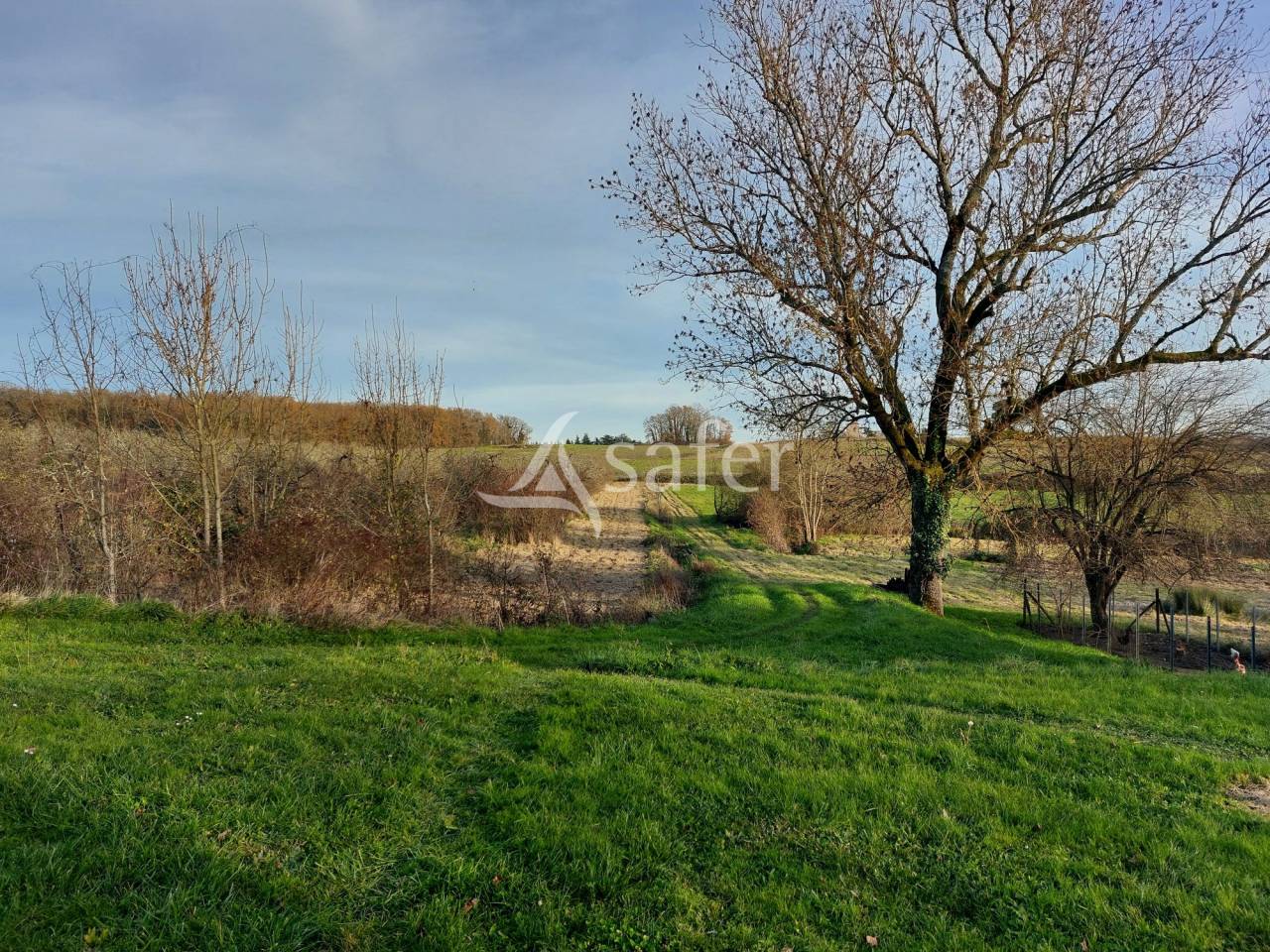 Groente exploitatie Koop Dordogne