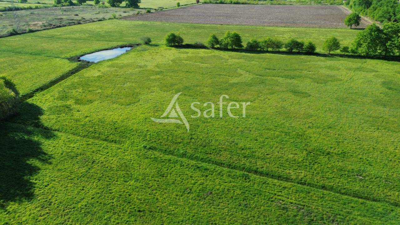 Schapen exploitatie Koop Dordogne