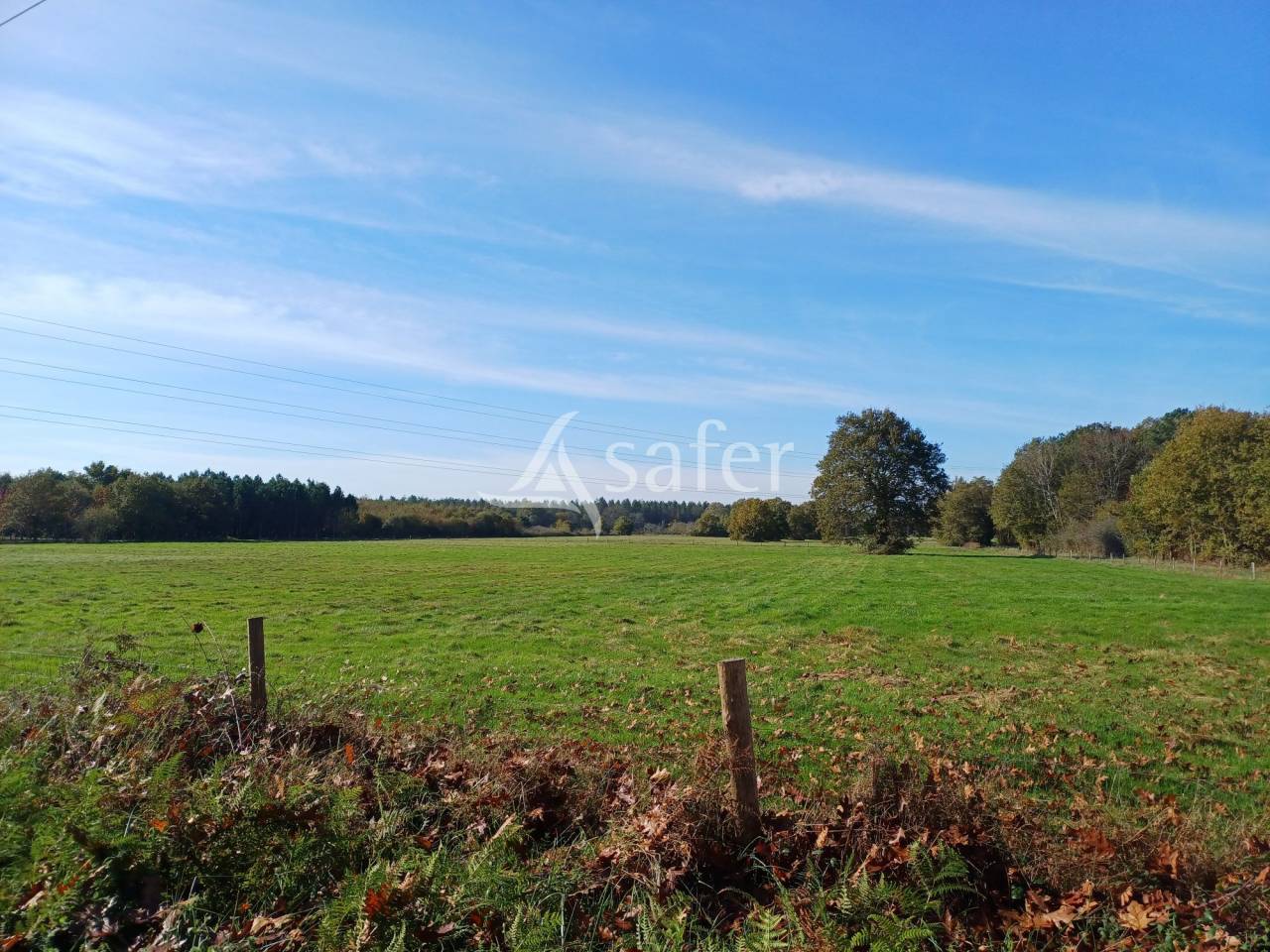 Schapen exploitatie Koop Dordogne