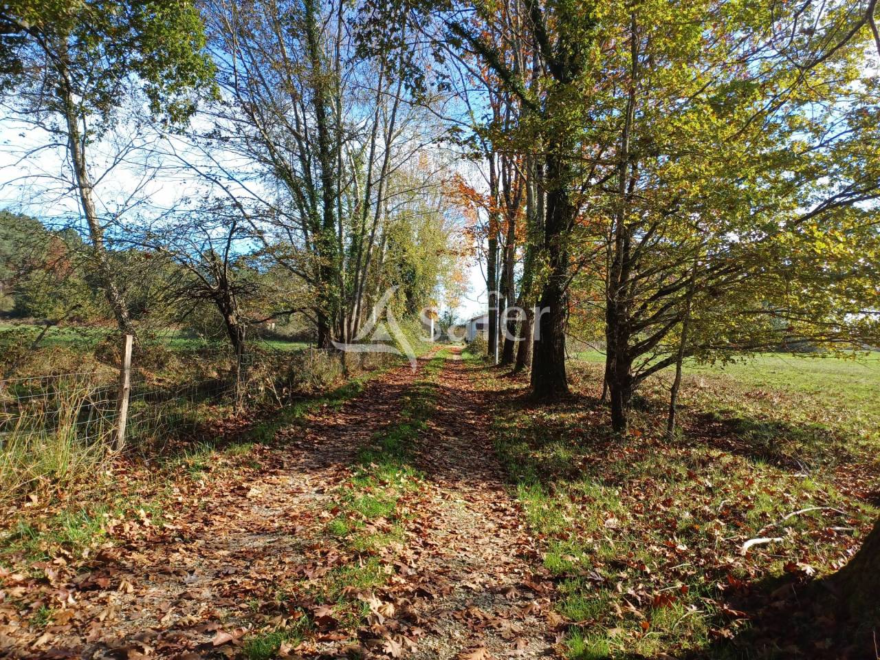 Schapen exploitatie Koop Dordogne