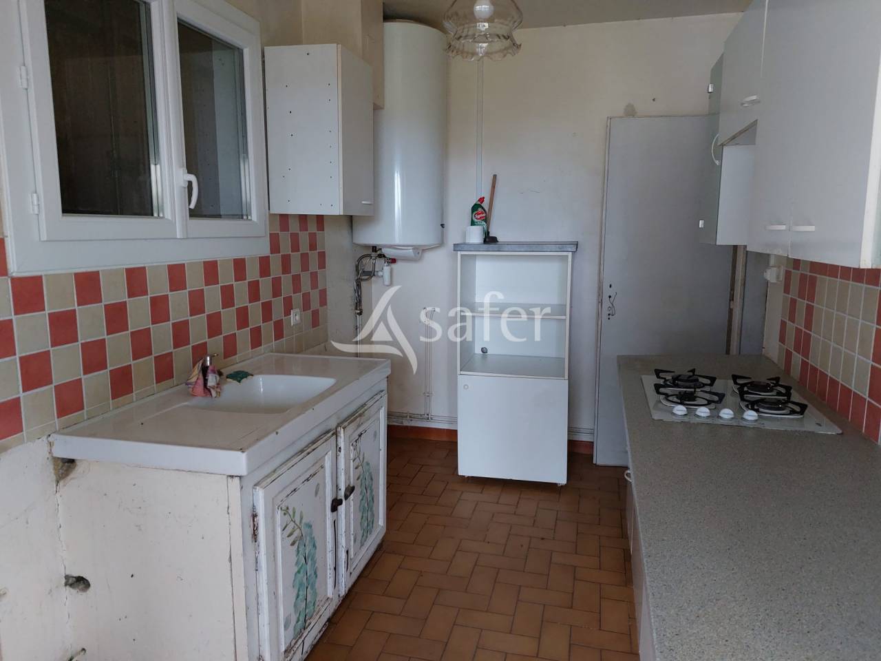 Schapen exploitatie Koop Dordogne