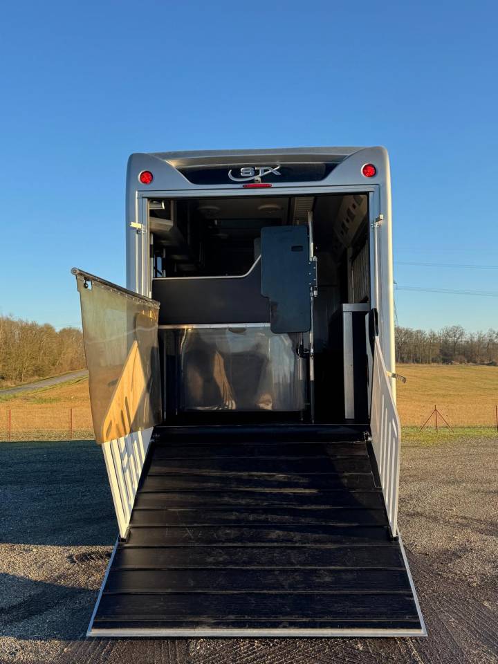 Zware paardenvrachtwagen (groot rijbewijs) Scania STX 2019 Tweedehands