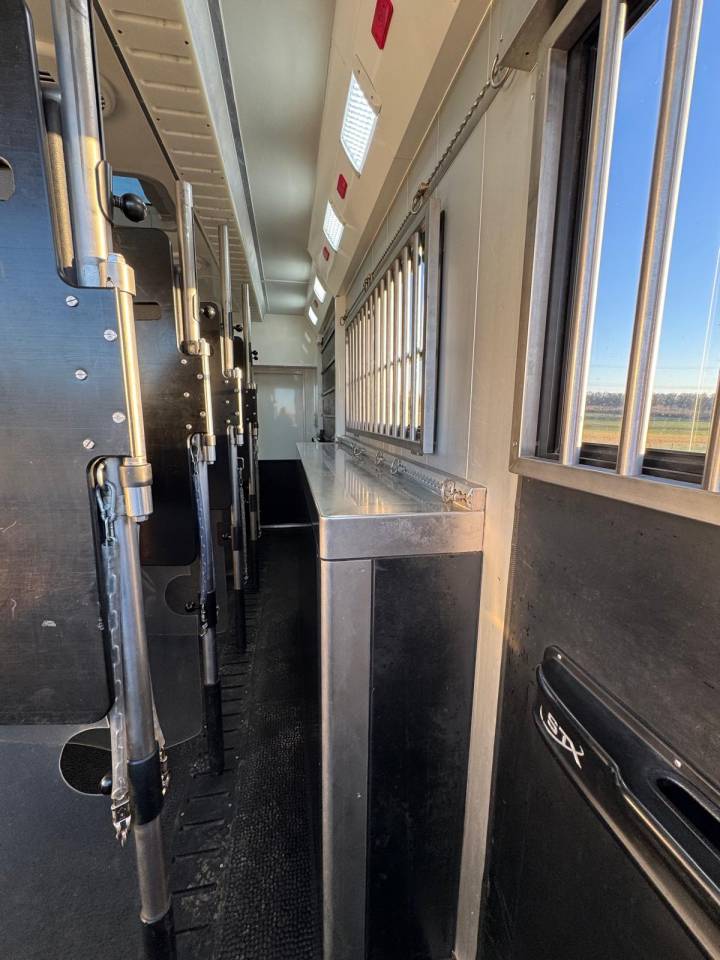 Zware paardenvrachtwagen (groot rijbewijs) Scania STX 2019 Tweedehands