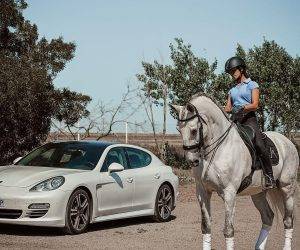 Ruin Lusitano Te koop 2013 Schimmel