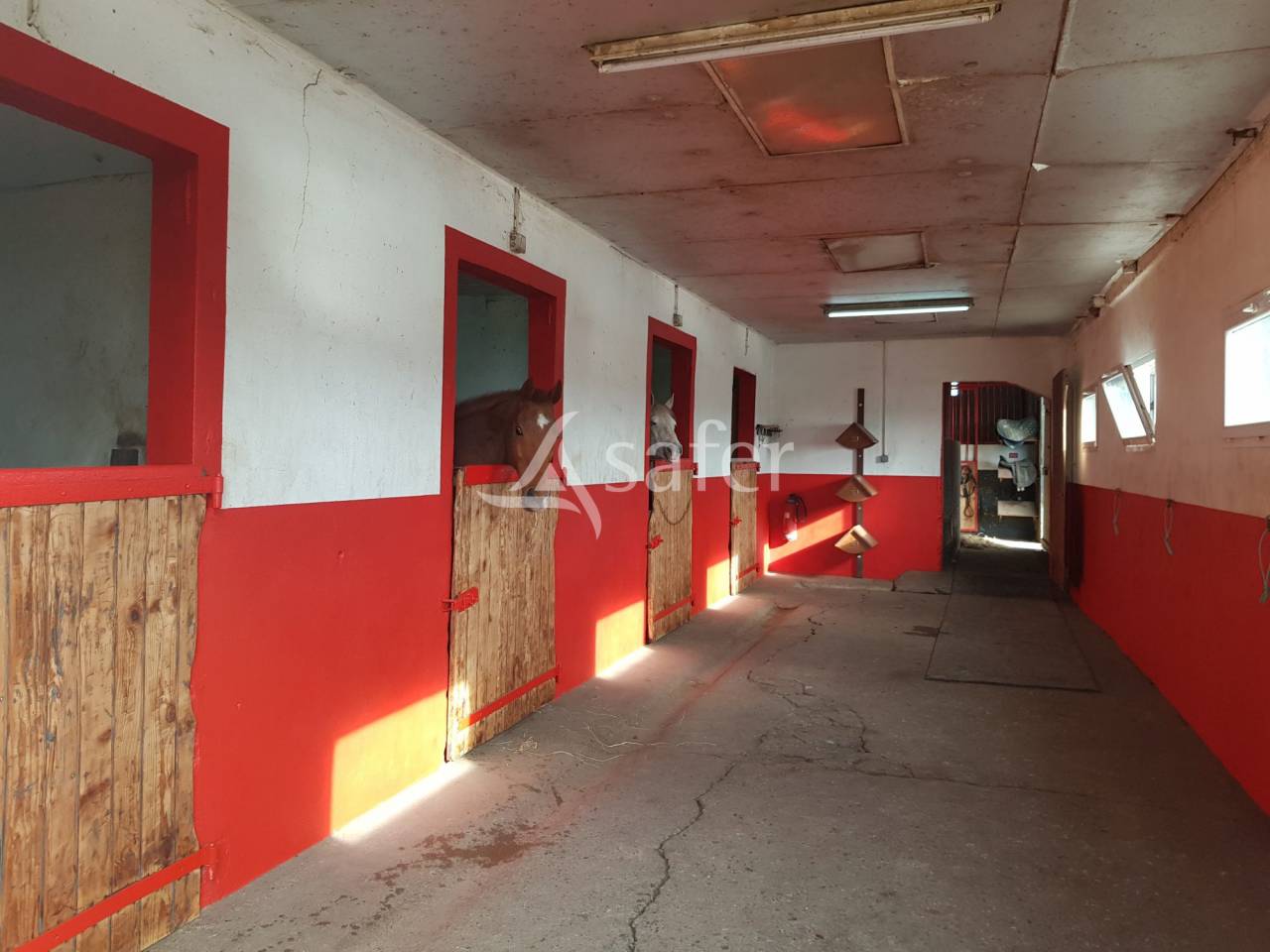 Hippisch vastgoed Koop Meurthe-et-Moselle