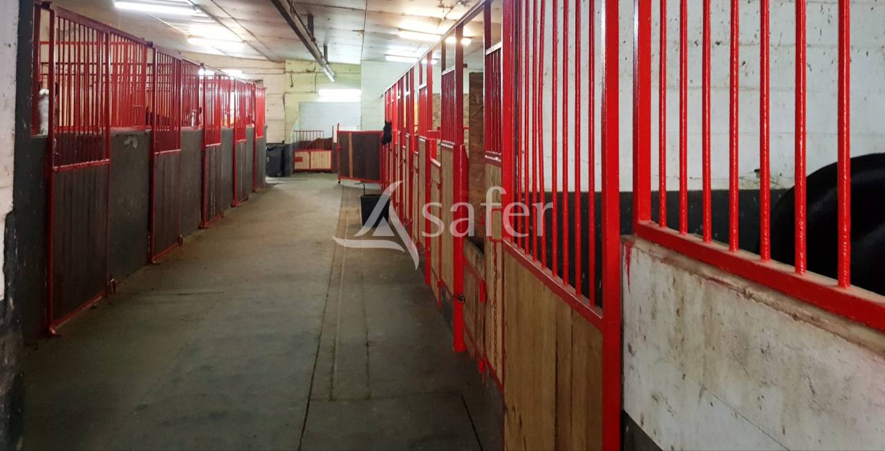 Hippisch vastgoed Koop Meurthe-et-Moselle