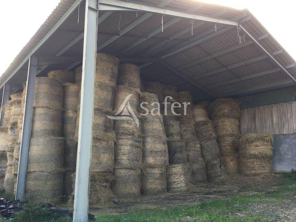 Ander plattelands vastgoed Koop Creuse