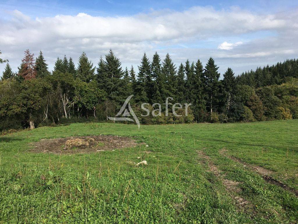 Ander plattelands vastgoed Koop Creuse