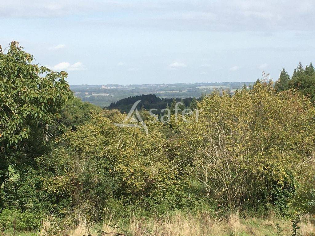 Ander plattelands vastgoed Koop Creuse