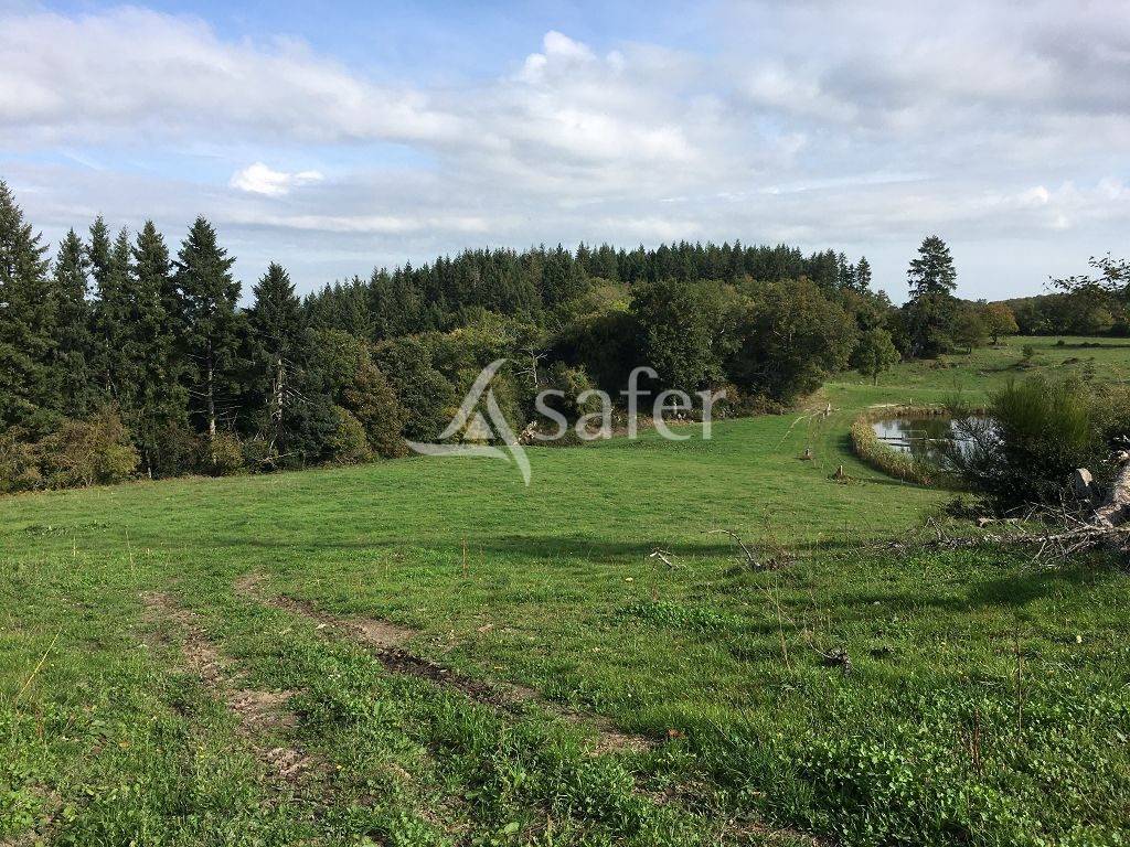 Ander plattelands vastgoed Koop Creuse