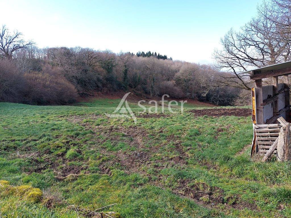 Ander plattelands vastgoed Koop Creuse