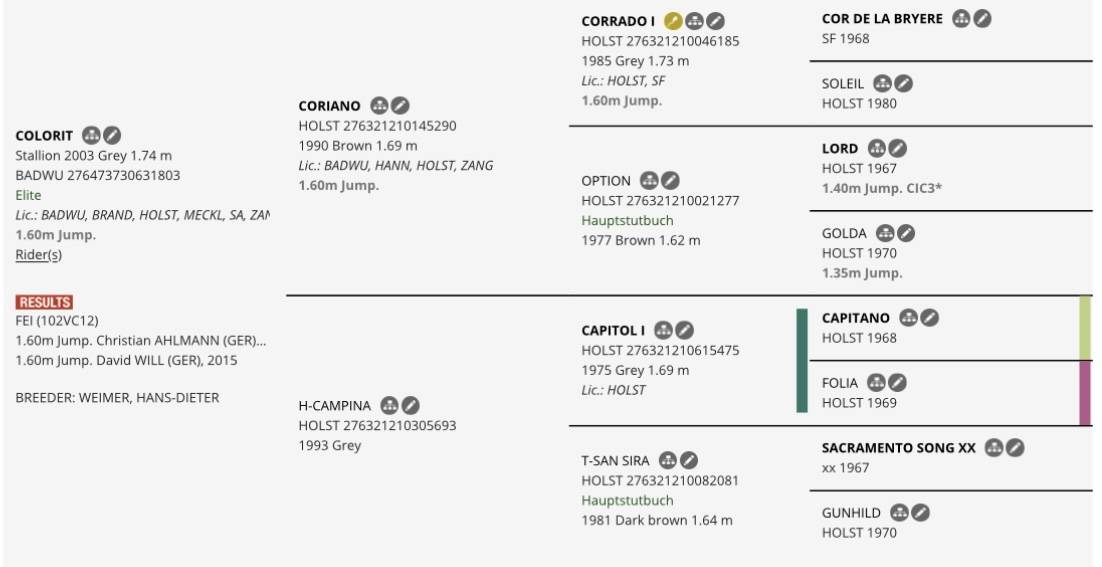 Merrie Selle Français Te koop 2021 Vos ,  Colorit